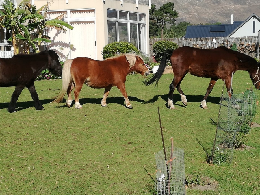 To Let 2 Bedroom Property for Rent in High Riding Country Estate Western Cape